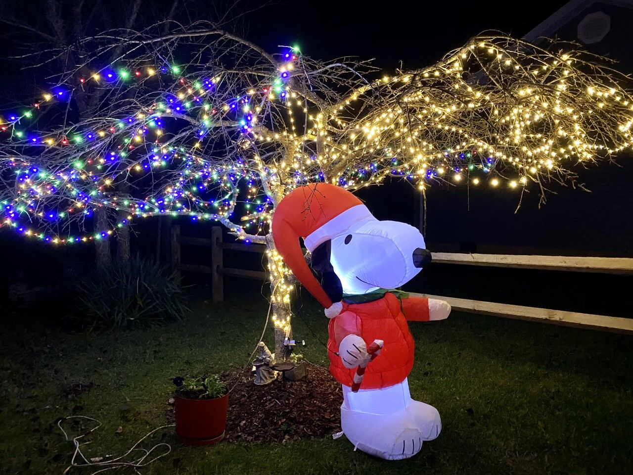 photo_ft_news_xmas lights schoolhouse road_121620.jpg